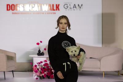 Dogs on the Catwalk in Budapest-stock-photo