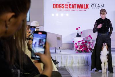 Dogs on the Catwalk in Budapest-stock-photo