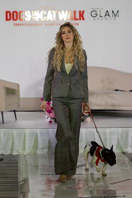 Dogs on the Catwalk in Budapest-stock-photo