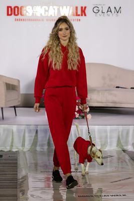 Dogs on the Catwalk in Budapest-stock-photo