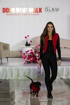 Dogs on the Catwalk in Budapest-stock-photo