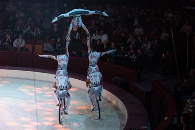 Budapest Circus Festival-stock-foto