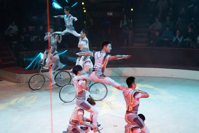 Budapest Circus Festival-stock-foto