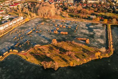 Bujtosi tó-stock-foto