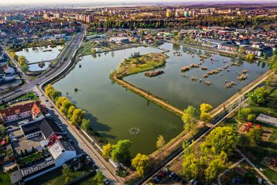 Bujtosi tó-stock-foto