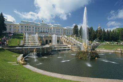 Fountains in front of the Summer Palace at Petrodvorets in St. Petersburg, Russia, Europe-stock-photo