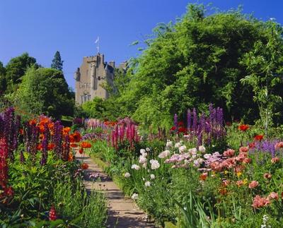 Herbaceous borders in the gardens, Crathes Castle,  Grampian, Scotland, UK, Europe-stock-foto