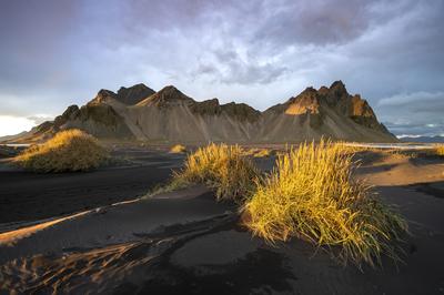 The view of the mountains of Vestrahorn from black volcanic sand beach with grasses at sunset, Stokksnes, South Iceland,-stock-photo