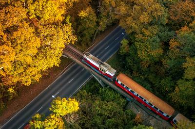 Children's train in Budapest hills-stock-photo