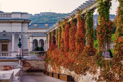 Varkert bazar in Budapest.-stock-photo