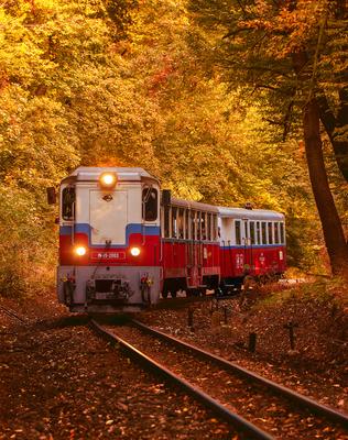 Forest train, Children's train-stock-photo