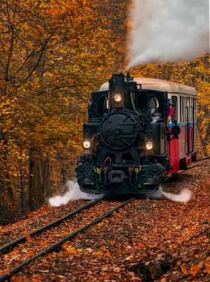 Forest train in Mtra hills.-stock-photo