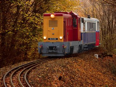 Forest train, Children's train-stock-photo