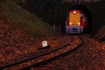 Forest train, Children's train-stock-photo