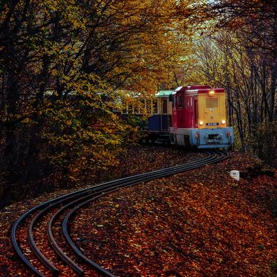 Forest train, Children's train-stock-photo