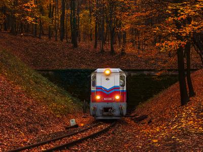 Forest train, Children's train-stock-photo