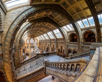 11.08.2019. London, UK. Hall of Natural historical museum.-stock-photo