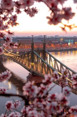 Europe Hungary Budapest Liberty bridge spring-stock-foto