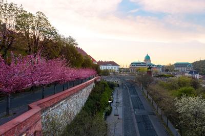 Europe Hungary Budapest. The famous Buda Castle-stock-photo