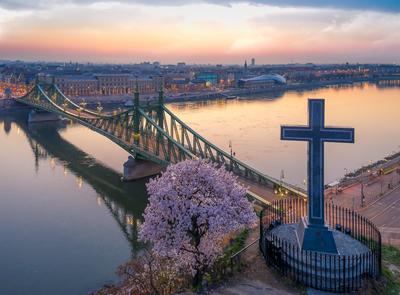 Europe Hungary Budapest Liberty bridge spring-stock-foto