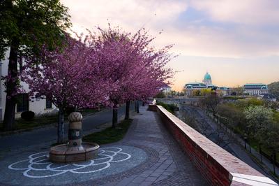 Europe Hungary Budapest. The famous Buda Castle-stock-photo