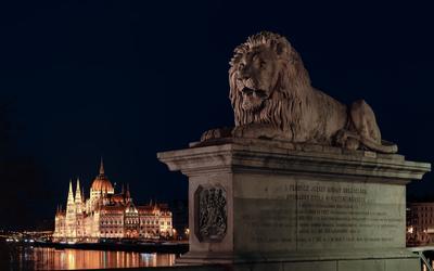 Europe Hungary Budapest The Cain bridge's lion with parliament.-stock-foto