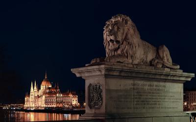 Europe Hungary Budapest The Cain bridge's lion with parliament.-stock-photo