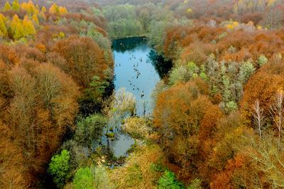 Unique lake in Hungary which name is Hubertlaki lake.-stock-photo