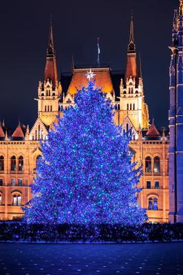 Traditional Giant christmas tree on Kossuth Square-stock-photo