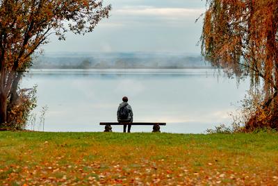 Kanyavar island Little balaton area in Hungary-stock-photo