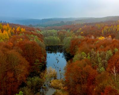 Unique lake in Hungary which name is Hubertlaki lake.-stock-photo