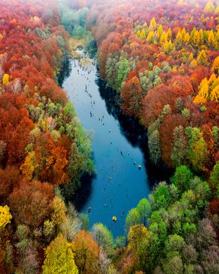 Unique lake in Hungary which name is Hubertlaki lake.-stock-photo