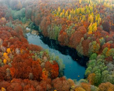 Unique lake in Hungary which name is Hubertlaki lake.-stock-photo