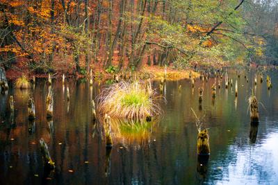 Unique lake in Hungary which name is Hubertlaki lake.-stock-foto