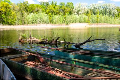 Splendid recreation place in south Hungary-stock-photo