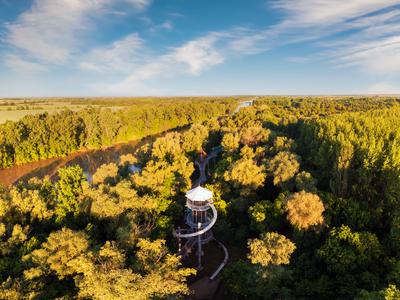 Canopy walkway in Mako city-stock-foto