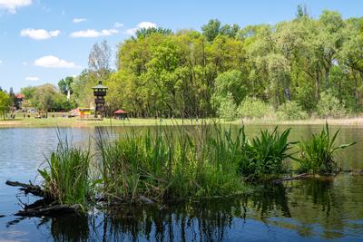 Splendid recreation place in south Hungary-stock-photo