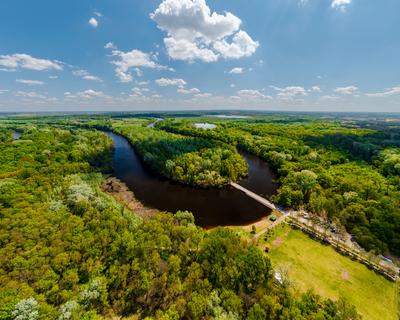 Backwater of Tisza river in Hungary-stock-photo