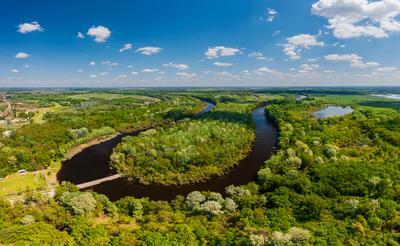 Backwater of Tisza river in Hungary-stock-photo