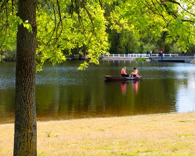 Splendid recreation place in south Hungary-stock-photo