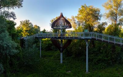 Canopy walkway in Mako city-stock-foto