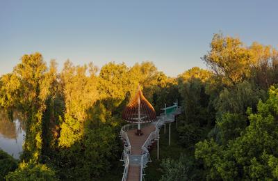 Canopy walkway in Mako city-stock-foto