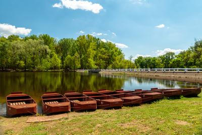 Splendid recreation place in south Hungary-stock-photo