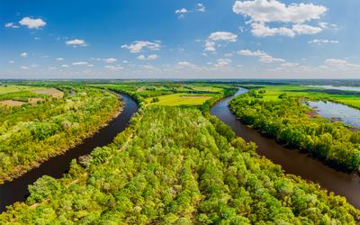 Backwater of Tisza river in Hungary-stock-photo