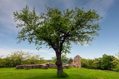 Schlosberg temple riuns in Macseknadasd Hungary-stock-photo