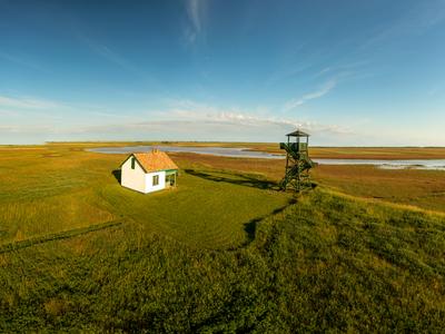 Kardoskut white lake in Hungary-stock-photo