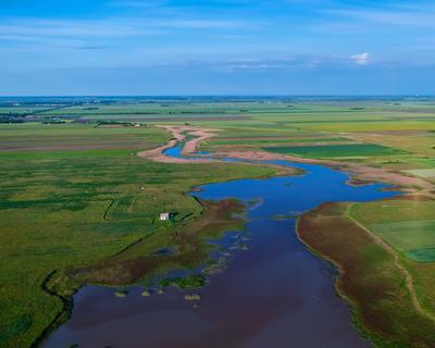 Kardoskut white lake in Hungary-stock-photo