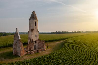 Pusztatorony near by Somogyvamos village in Hungary.-stock-photo