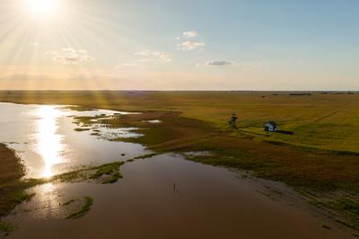 Kardoskut white lake in Hungary-stock-photo