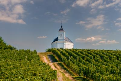 Terez chapel in Tokaj region Hungary-stock-photo
